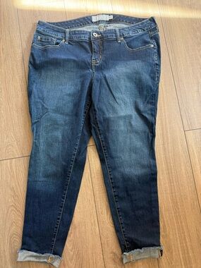 Torrid Women's Dark Blue Stretch Denim Jeans-EUC